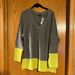 Torrid Sweater